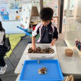 Pre Primary Student - Sensory Play